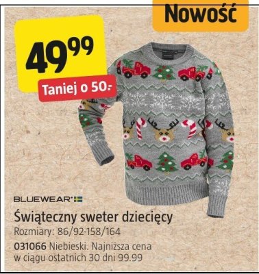 Świąteczny sweter dziecięcy BLUEWEAR niebieski promocja w Jula