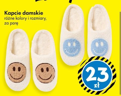 Kapcie damskie różne kolory i rozmiary promocja w Tedi