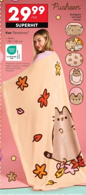 Koc promocja w Biedronka