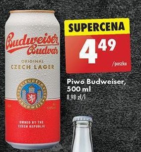 Piwo Budweiser promocja w Biedronka