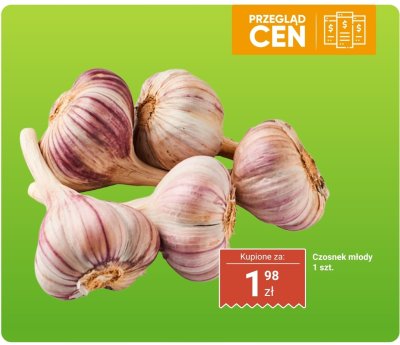 Czosnek promocja w Biedronka