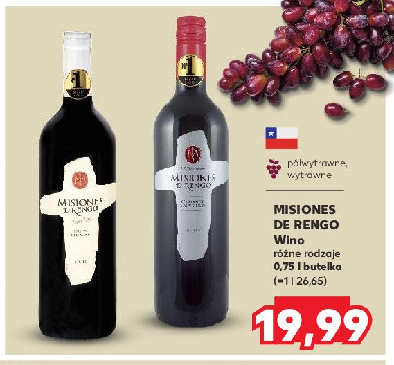 Wino MISIONES DE RENGO SAUVIGNON BLANC MISSIONES D'RENGO promocja