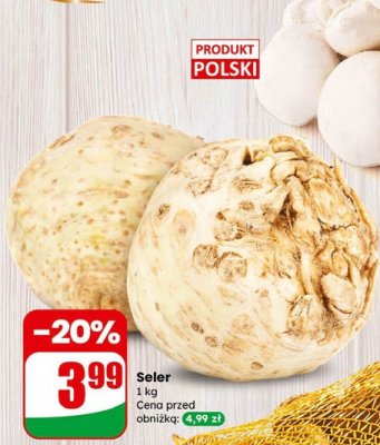 Seler Dino promocja w Dino