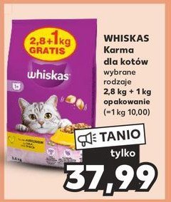 Karma dla kota pasztet z wołowiną Whiskas promocja