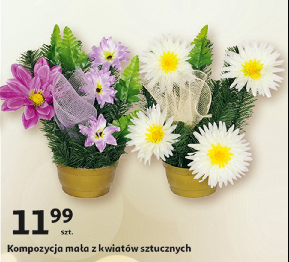 Kompozycja w donicy ma艂a promocja