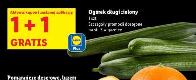 Ogórek długi zielony promocja w Lidl