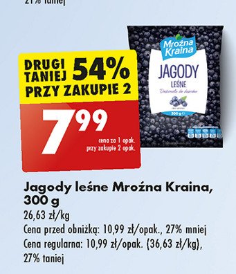 Jagody leśne Mroźna kraina promocja