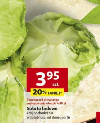 Sa艂ata lodowa hiszpania Pole do popisu promocja w Auchan