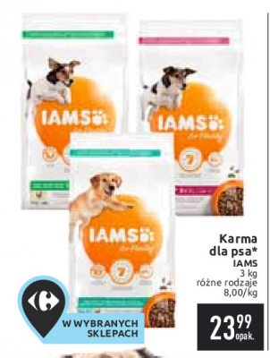 Karma dla psa kurczak du偶e rasy Iams for vitality promocja
