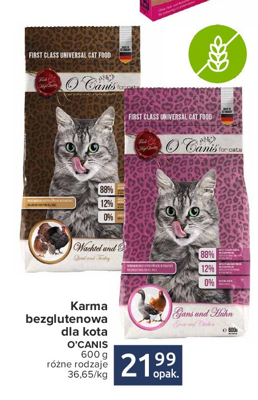 Karma dla kota gęś i kurczak O'canis promocja