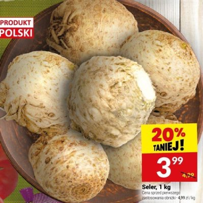 Seler, 1 kg promocja w Twój Market