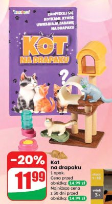Zabawka Kot na drapaku promocja w Dino