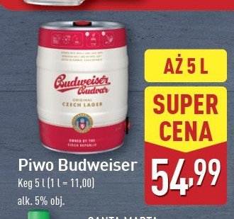 Piwo b: original Budweiser budvar promocja