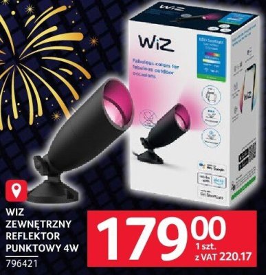 Wiz zewnętrzny reflektor punktowy 4W promocja w Selgros