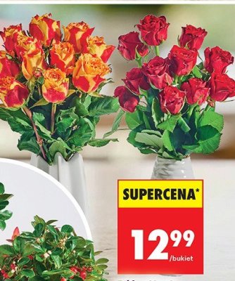 Kwiaty Róża promocja w Biedronka