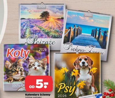 Kalendarz ścienny promocja w Netto