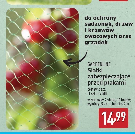 Siatka chroni膮ca przed ptakami 4 x 5 m promocja