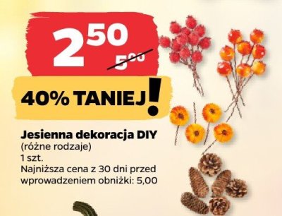 Jesienna dekoracja DIY różne rodzaje promocja w Netto