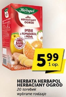 Herbata Herbapol Herbaciany Ogród imbir z pomarańczą i pigwą promocja w Groszek
