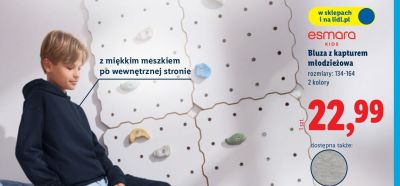 Bluza z kapturem młodzieżowa, rozmiary: 134-164 promocja w Lidl