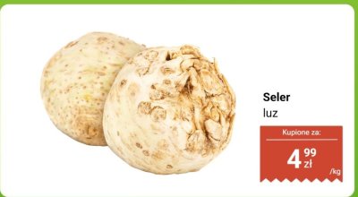 Seler luz promocja w Dino