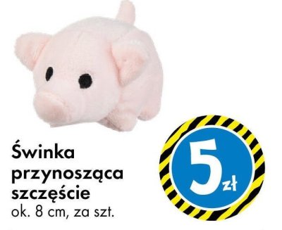 Świńka przynosząca szczęście promocja w Tedi