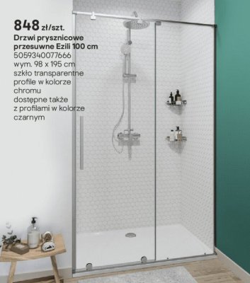 Drzwi prysznicowe przesuwne Ezili 100 cm promocja w Castorama