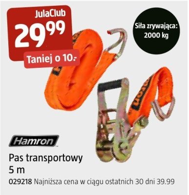 Pas transportowy Hamron 5m promocja w Jula