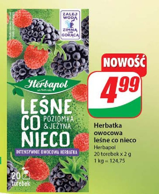 Herbata leśne co nieco Herbapol promocja w Dino