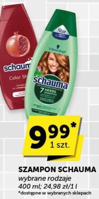 Szampon Schauma promocja w Groszek