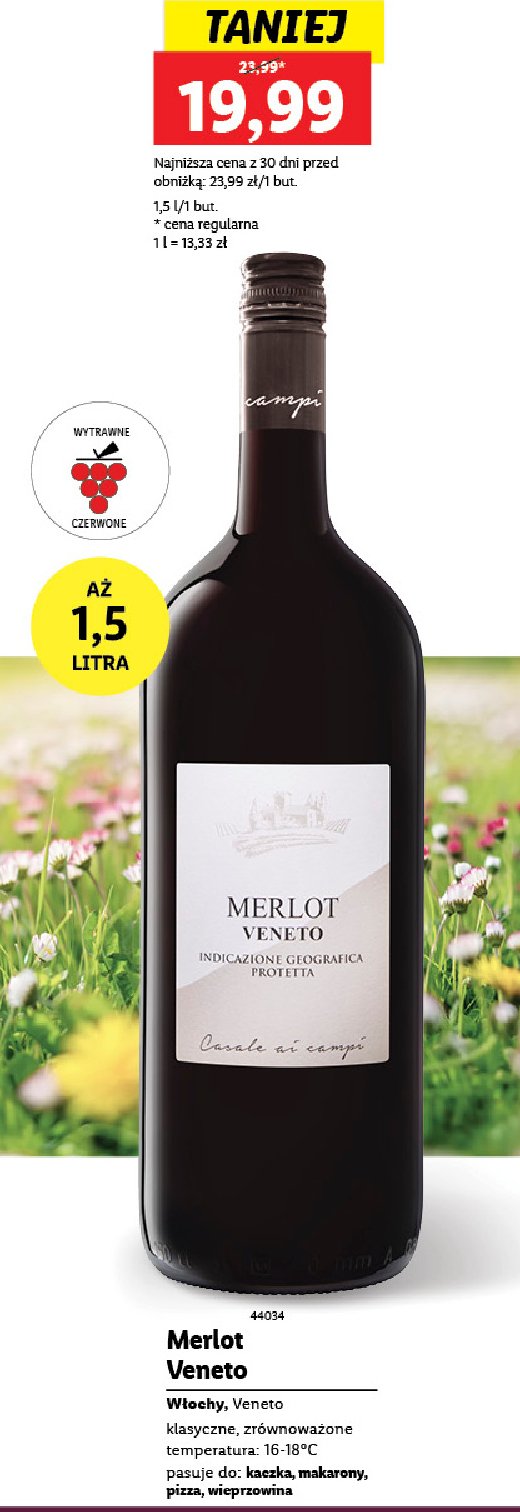 Wino MERLOT VENETO promocja