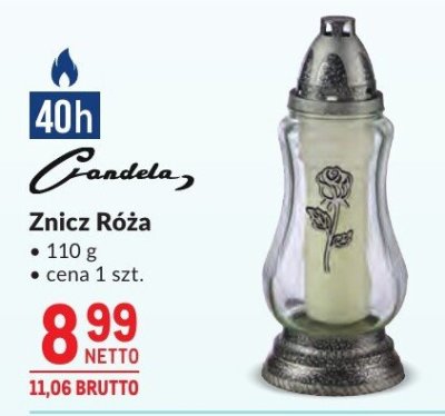 Znicz Róża Candela promocja w Makro
