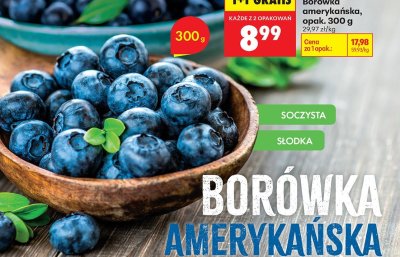Borówka amerykańska, opak. 300 g promocja w Biedronka