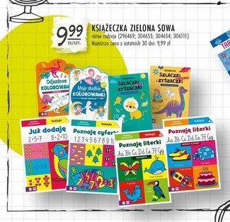 Szlaczki zygzaczki z dinozaurem Zielona sowa promocja