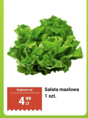 Sałata masłowa promocja w Biedronka