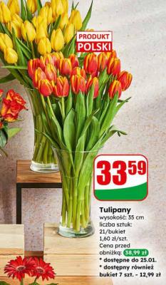Tulipany 35 cm promocja w Dino