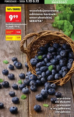 Od poniedziałku, Z ladą tradycyjną, strona 33 promocja w Biedronka