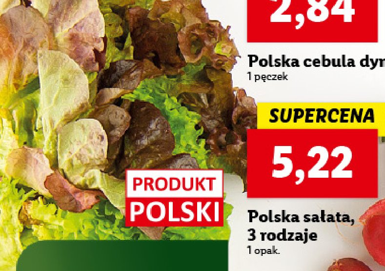 Sałata polska promocja