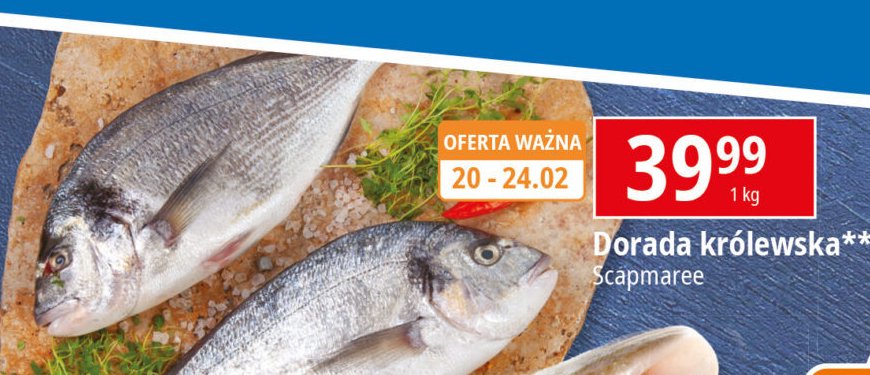 Dorada królewska promocja w Leclerc