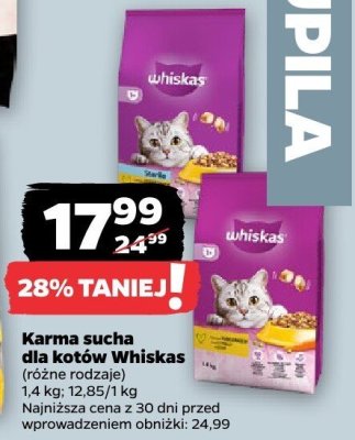 Karma sucha dla kotów, różne rodzaje promocja w Netto