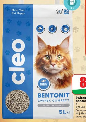 Żwirek dla kota bentonitowy 5 l promocja w Dino