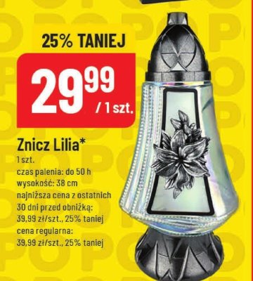 Znicz Lilia promocja w POLOmarket