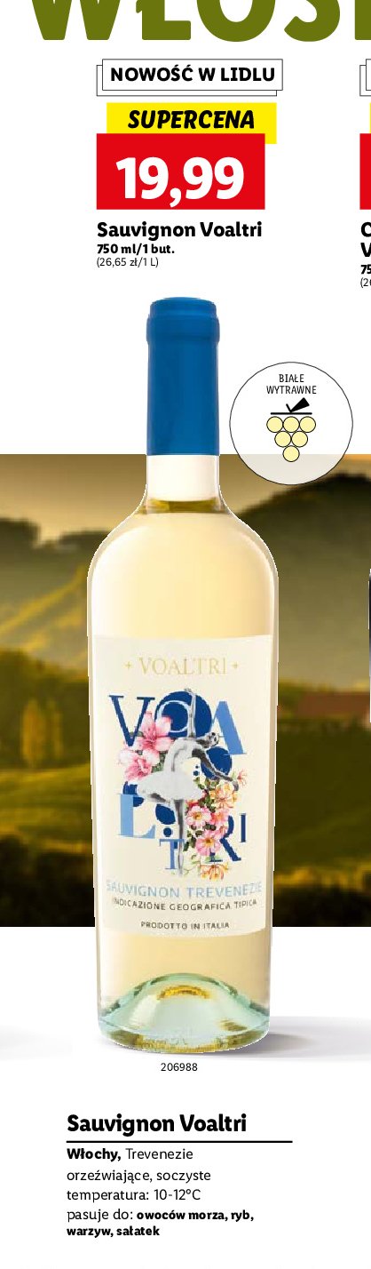 Wino wytrawne sauvignon Voltri promocja w Lidl