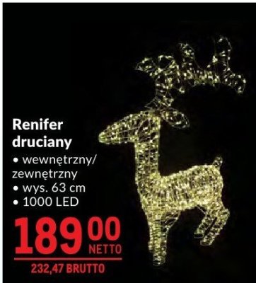Renifer druciany promocja w Makro