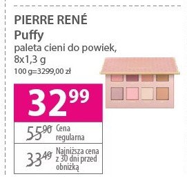 Paleta cieni puffy Pierre rene professional promocja