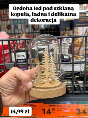 Ozdoba LED pod szklaną kopułą promocja w Biedronka
