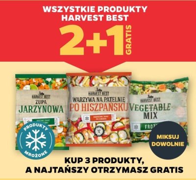 Zupa jarzynowa  promocja w Netto