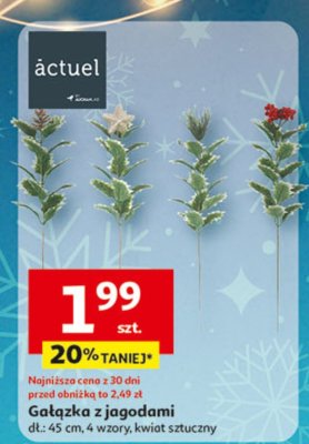 Gałązka z jagodami promocja w Auchan