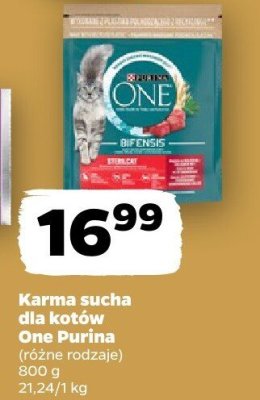 Karma sucha dla kotów różne rodzaje promocja w Netto