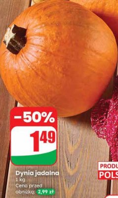 Dynia promocja w Dino